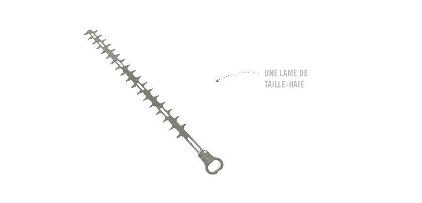 un taille-haie