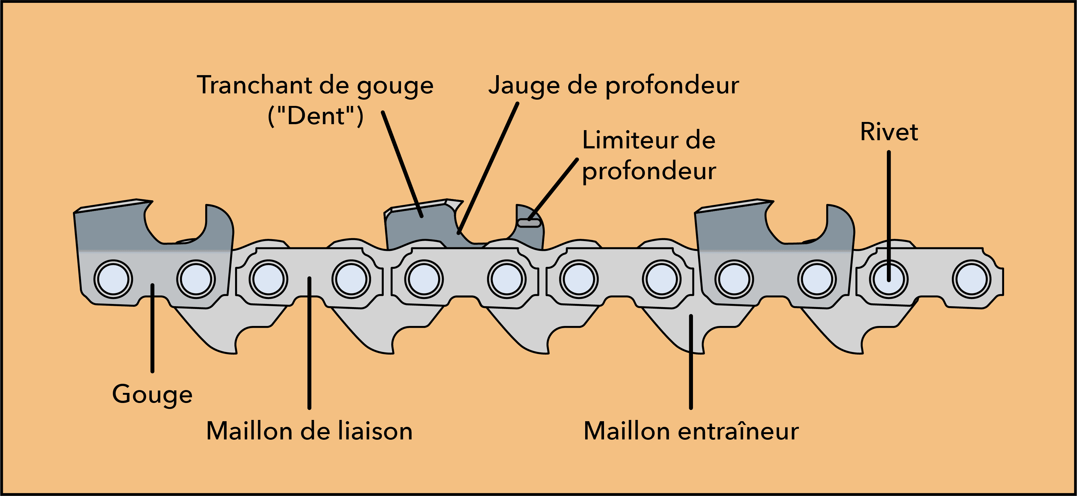 Guide-chaîne de tronçonneuse : le déterminer, c'est trouver le type de chaîne