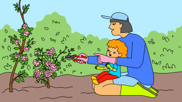Comment bien tailler des arbustes au jardin ?