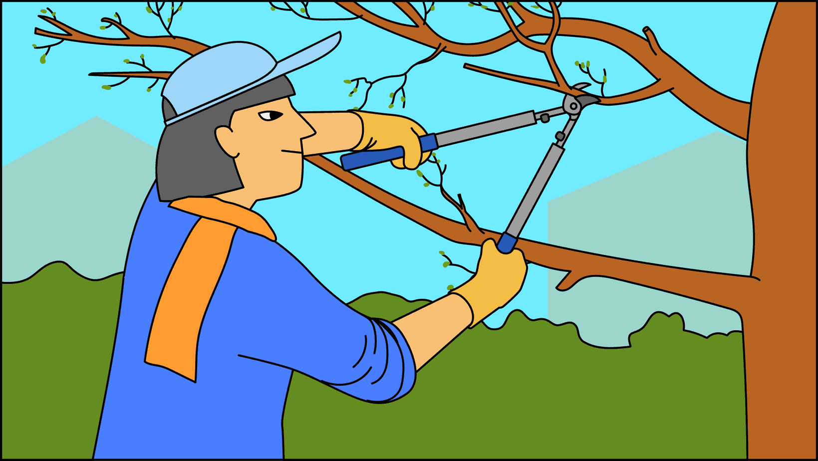 Quand tailler les arbres fruitiers ?